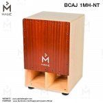 bcaj_1mh-nt_2