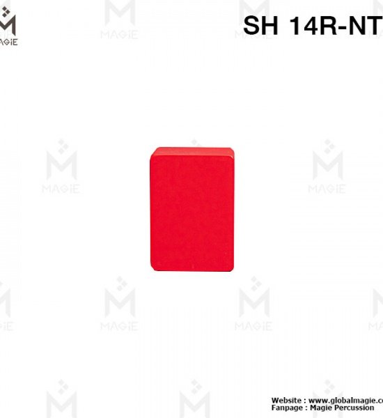 2_95639338