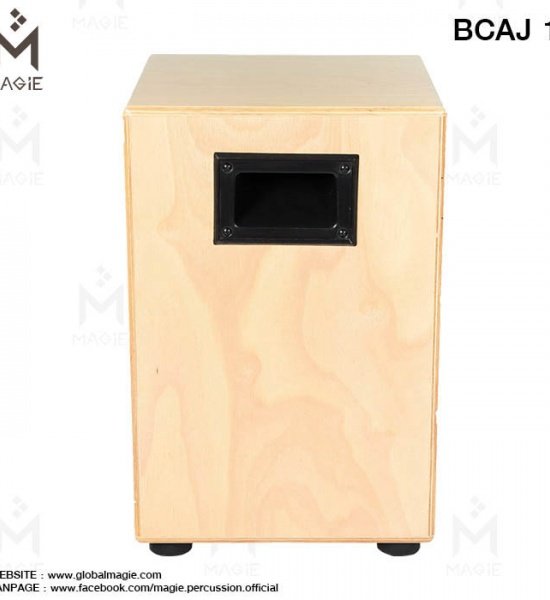 bcaj_1_1