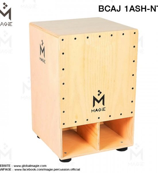 bcaj_1ash-nt_1
