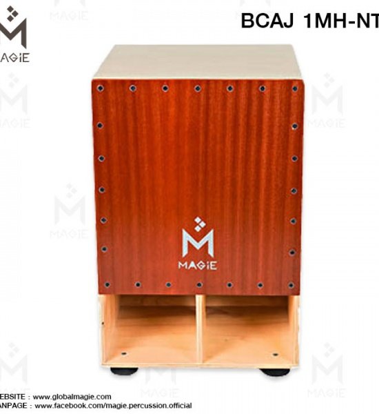 bcaj_1mh-nt_1