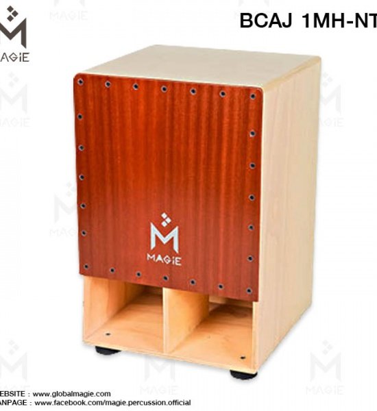 bcaj_1mh-nt_2