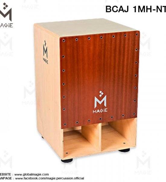 bcaj_1mh-nt_3