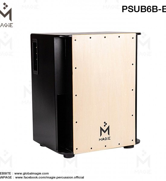psub_6b-b_2