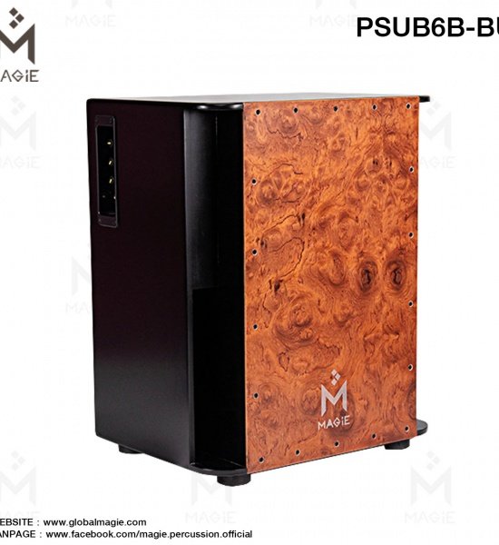 psub_6b-bu_2