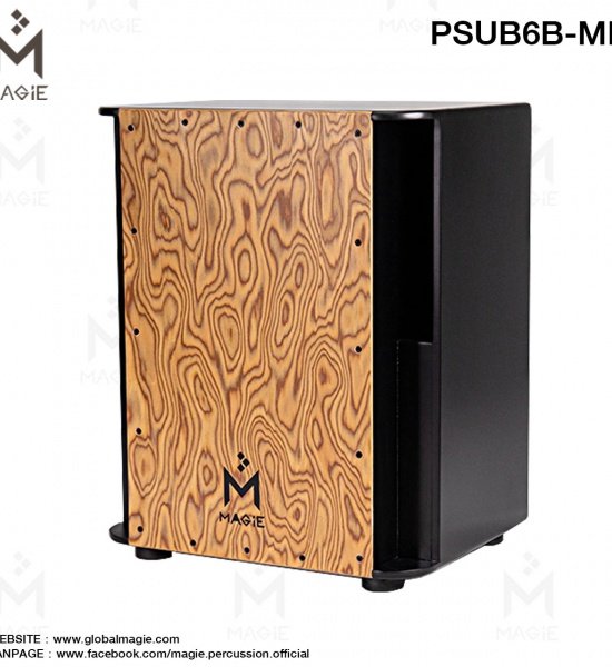 psub_6b-mb_1