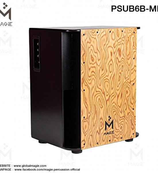 psub_6b-mb_2