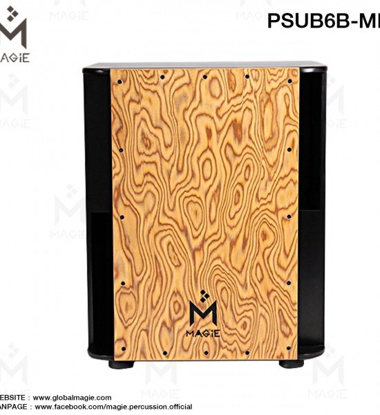 psub_6b-mb_3